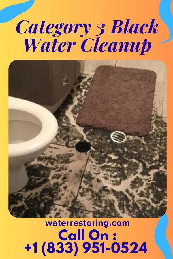 Category 3 Black Water Cleanup in Fairfield, WA