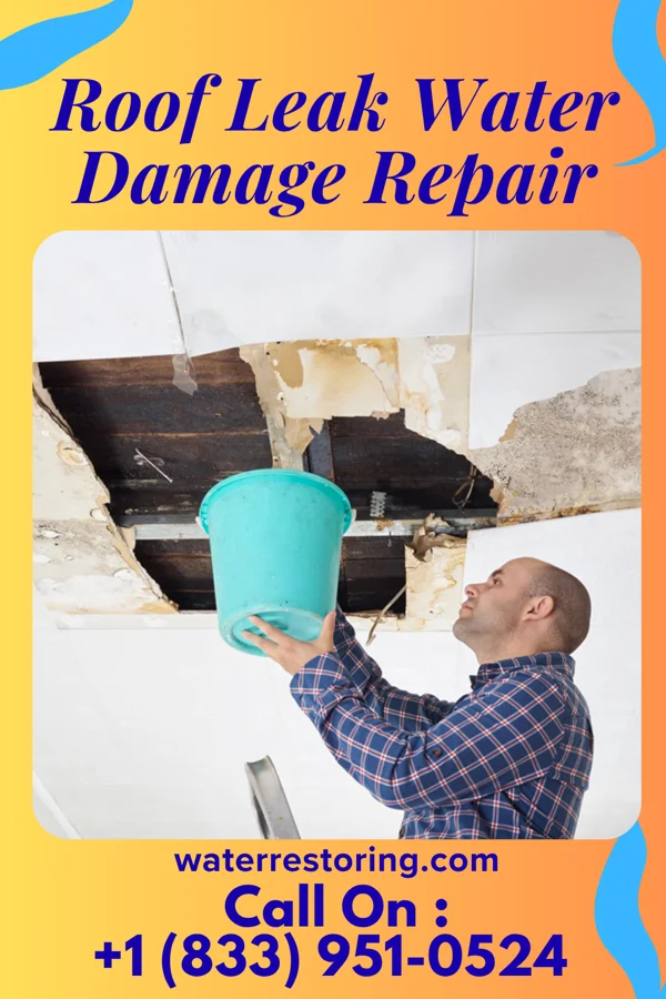 Roof Leak Water Damage Repair in Fairfield, WA