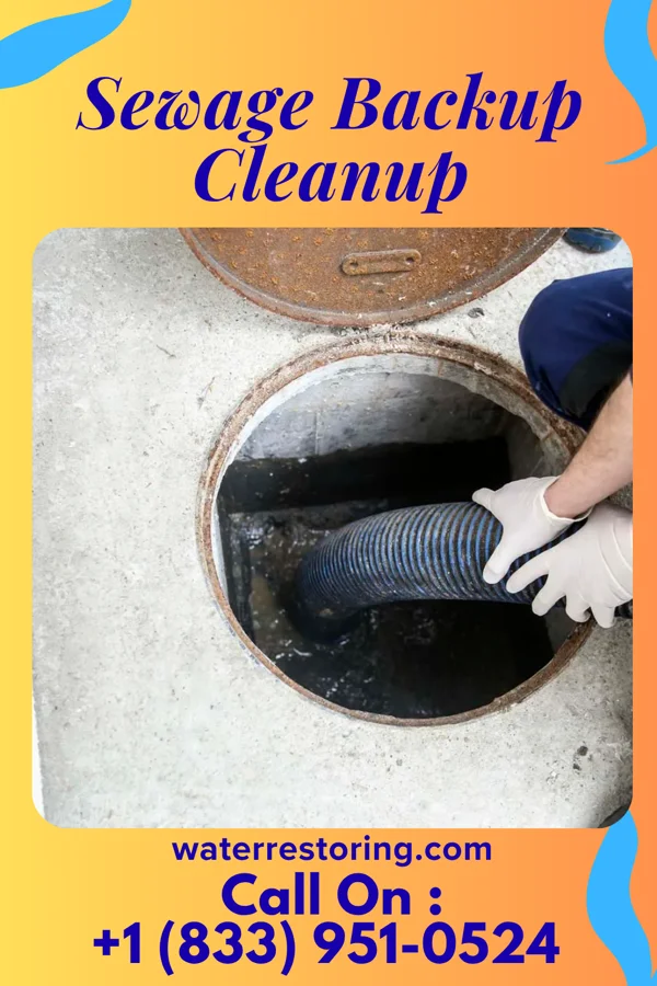 Sewage Backup Cleanup in Fairfield, WA